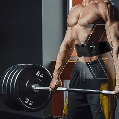 Ceinture pour la musculation - FitnessWaistBelts™ - Noir - Gt Lifting Universe